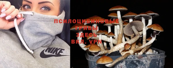 а пвп мука Богородицк