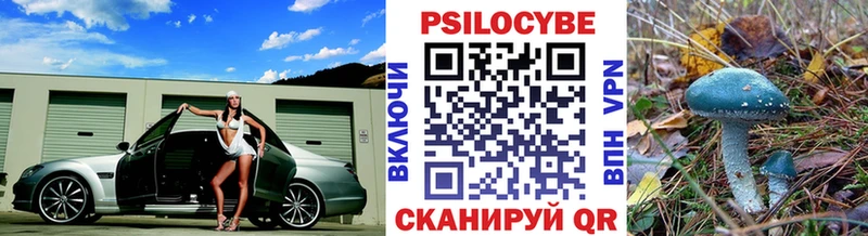 купить наркоту  Судак  Галлюциногенные грибы Cubensis 