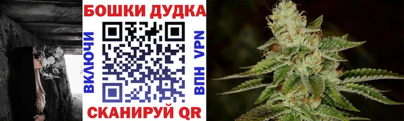 что такое наркотик  Судак  Бошки марихуана марихуана 